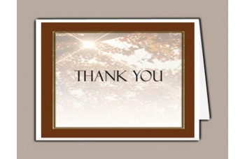 Ray of Sunshine Thank You Card Template